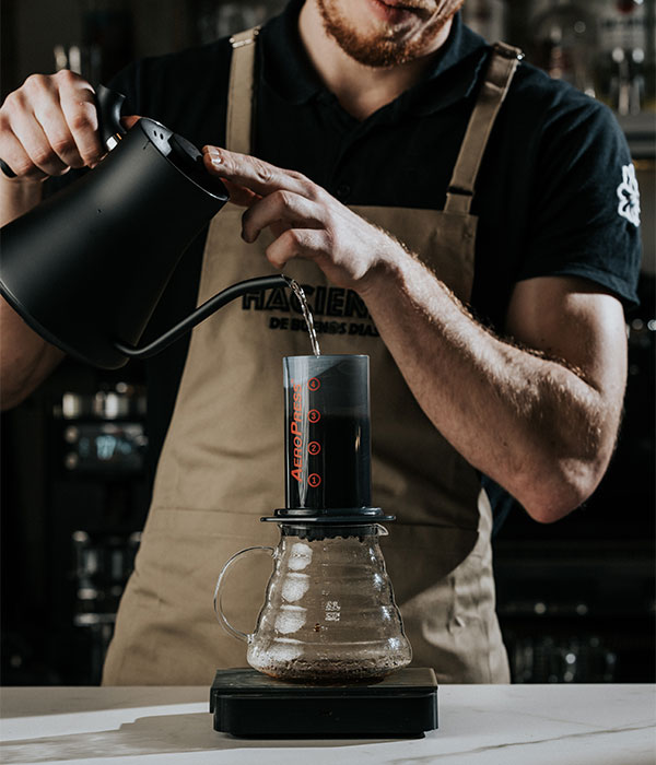 The Art of the Brew